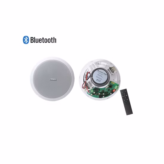 리모컨이 포함된 2*20W 6.5인치 액티브 블루투스 무선 BT 풀 레인지 천장 스피커