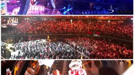 풀 레인지 프로페셔널 라우드 스피커 2개