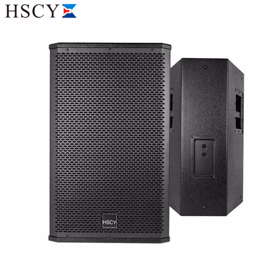 10인치 패시브 프로페셔널 사운드 컬럼 스피커 2웨이 파워드 라인 어레이 시스템