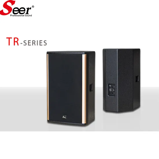 10인치 프로페셔널 스피커 시스템 오디오 액티브 라인 어레이 불량